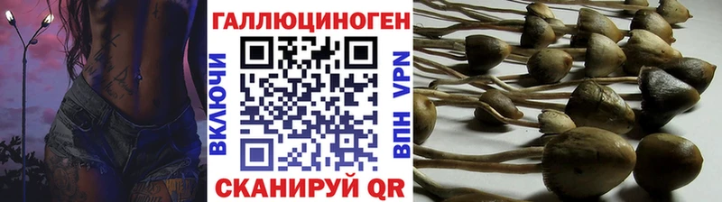 Псилоцибиновые грибы MAGIC MUSHROOMS  Железногорск 